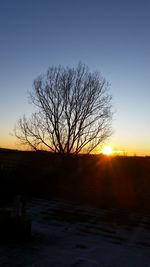 Silhouette bare tree on field against clear sky during sunset