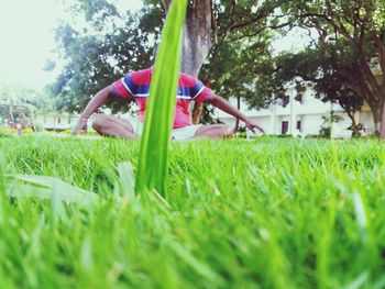 Rear view of boy on grassy field