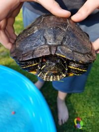 Low section of man holding turtle at yard