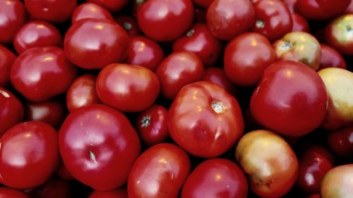 Full frame shot of tomatoes at market