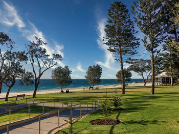 Coastline in western australia in springtime near perth