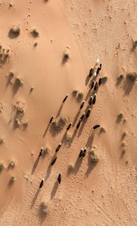 High angle view of a desert