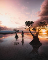 Silhouette people on tree against sky during sunset