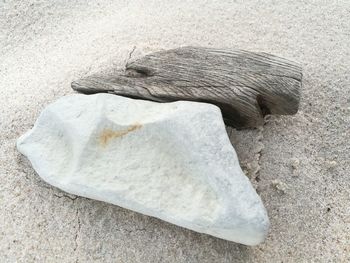 High angle view of lizard on sand at beach