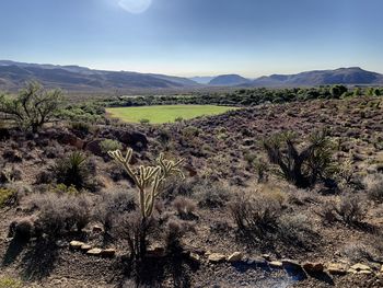 Scenic view of landscape against sky