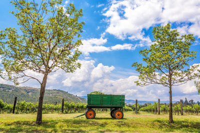 Green cart by vineyard against cloudy sky