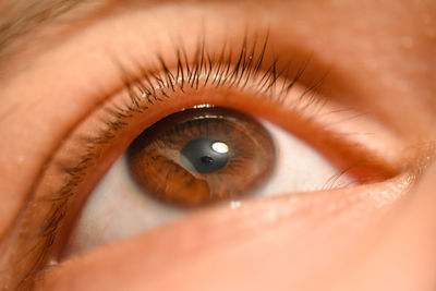 Extreme close-up of human eye