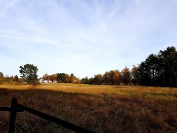 Scenic view of field against sky