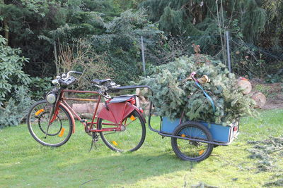 Bicycle on field