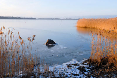 Scenic view of lake against sky during winter