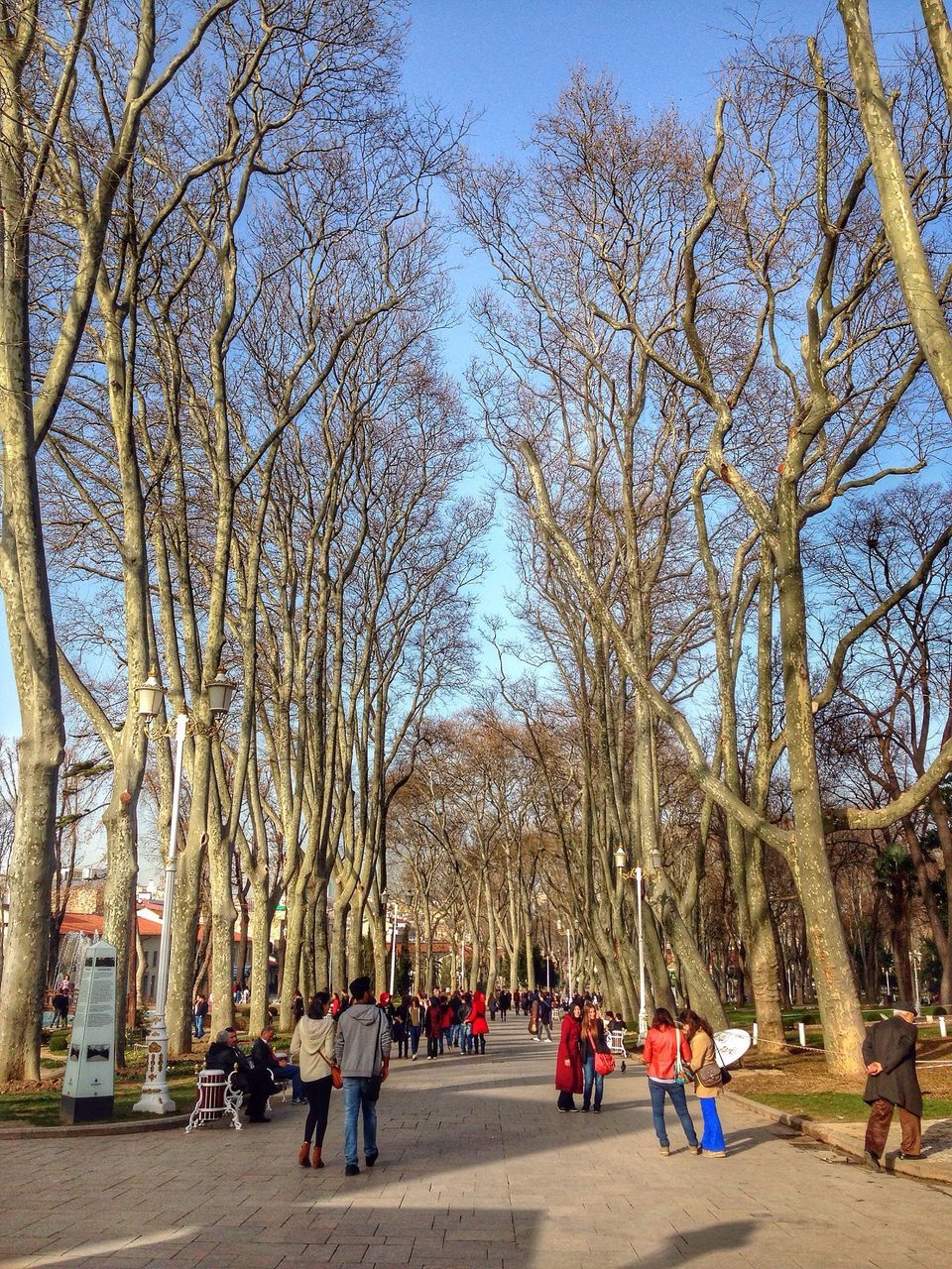 tree, large group of people, person, lifestyles, leisure activity, men, mixed age range, walking, tourist, sky, togetherness, city life, clear sky, day, park - man made space, sunlight, outdoors, travel, tourism