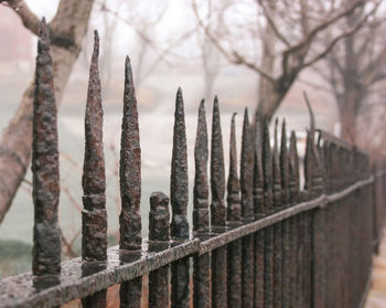 Close-up of rusty metal fence