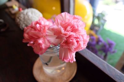 Close-up of pink flowers