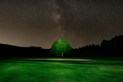 Scenic view of field against sky at night