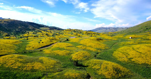 Scenic view of landscape against sky