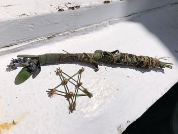 High angle view of caterpillar on sea