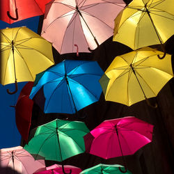 Low angle view of umbrellas