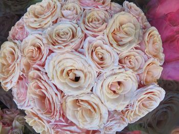 High angle view of rose bouquet