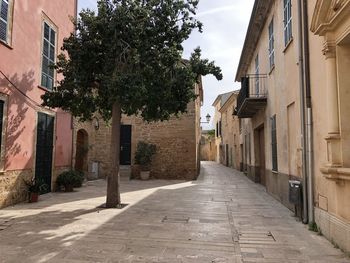 Empty alley amidst buildings in city