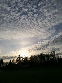 Silhouette trees on field against sky at sunset