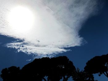 Low angle view of trees against sky