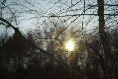 Low angle view of bare trees against sky at sunset