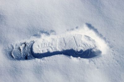 Close-up of snow covered land