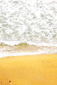 Scenic view of beach