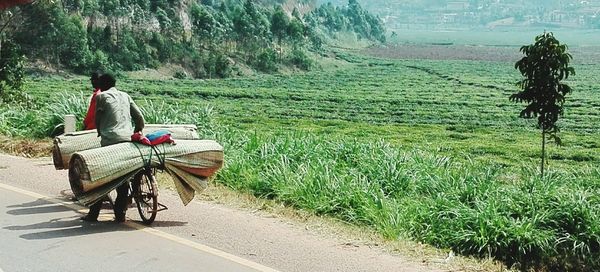 People riding motorcycle on country road along trees