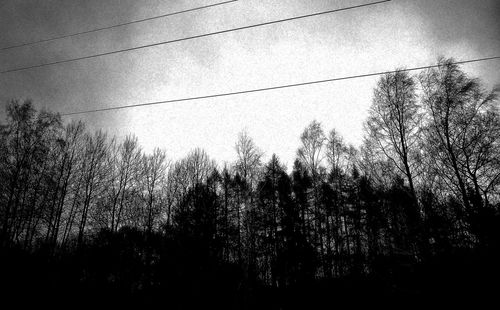 Low angle view of silhouette trees against sky