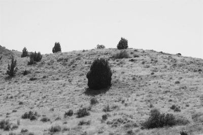 View of landscape against clear sky