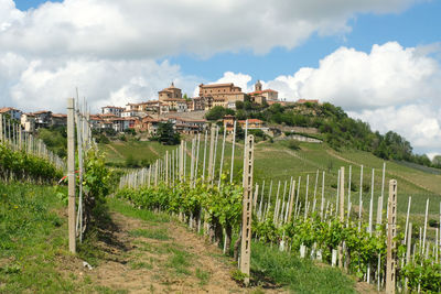 The village of la morra in the langhe region in the province of cuneo, piedmont, italy.