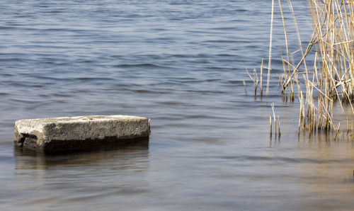 Wooden posts in sea