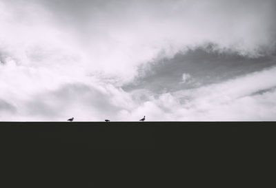 Low angle view of silhouette birds perching against sky