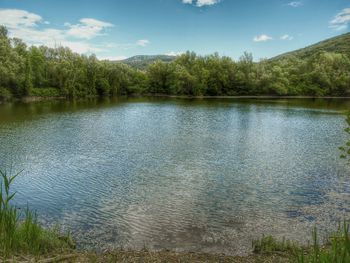 Reflection of trees in lake