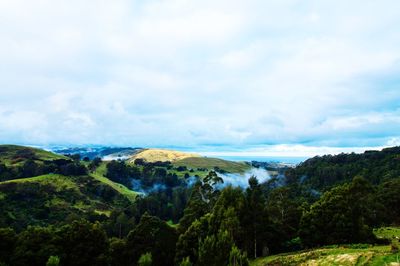 Scenic view of forest against sky