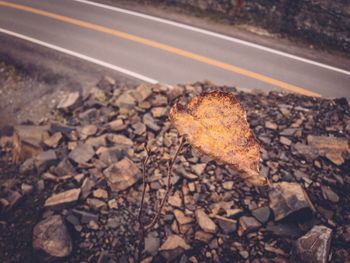 Surface level of road