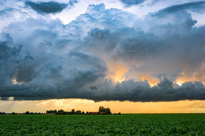 Scenic view of agricultural field against sky during sunset