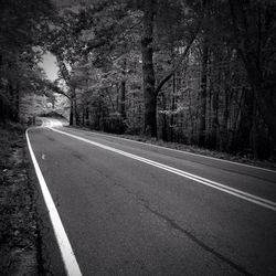 Empty road along trees