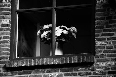 Flower pot on window sill of building