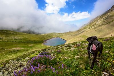 Scenic view of landscape against cloudy sky