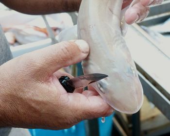 Pesheria, the famous historical fish market of catania