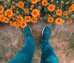 Low section of person standing by flowering plants