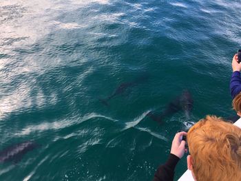 People photographing fish in sea using mobile camera