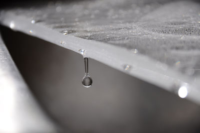 Close-up of water drop hanging from glass