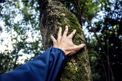 Low angle view of person hand against tree trunk in forest