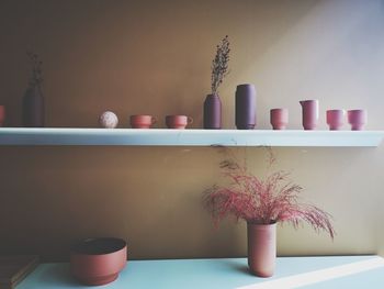 Close-up of potted plant on table at home