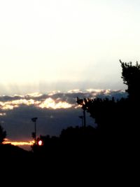 Silhouette of trees at sunset