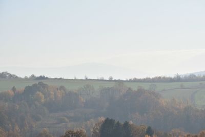 Trees on field against sky