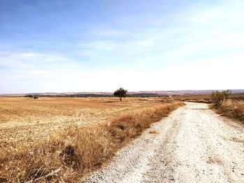 Dirt road on field against sky